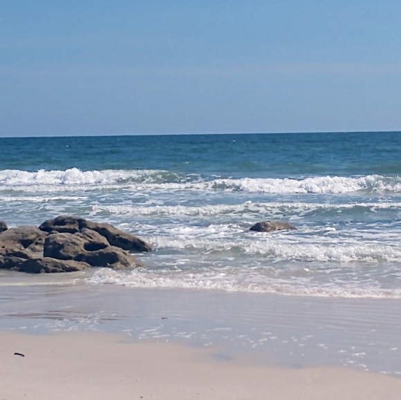 Meet your Posher, Deanna - Picture 1 of 1